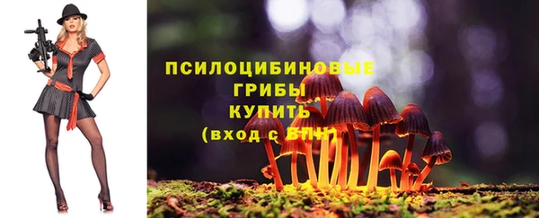 шишки Санкт-Петербург