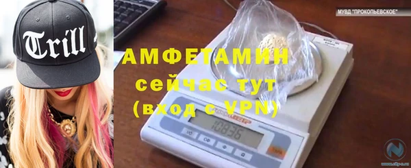 стаф Козельск
