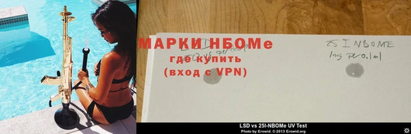 стаф Козельск