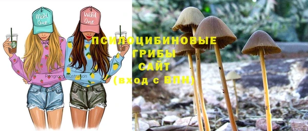 соль курить ск Новосибирск