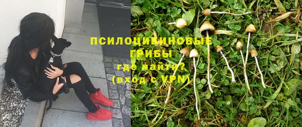 МДПВ Рославль