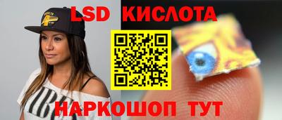 прущие грибы Гатчина