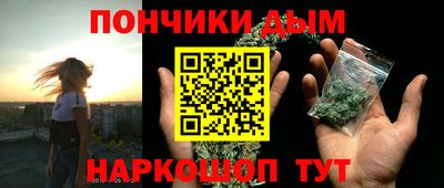 прущие грибы Гатчина