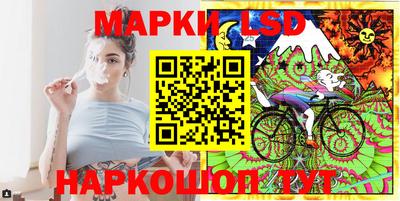 прущие грибы Гатчина