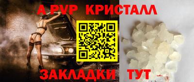 прущие грибы Гатчина