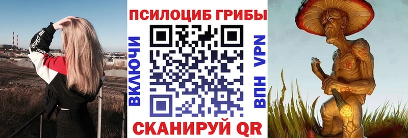 Псилоцибиновые грибы прущие грибы  купить наркотик  Касимов 