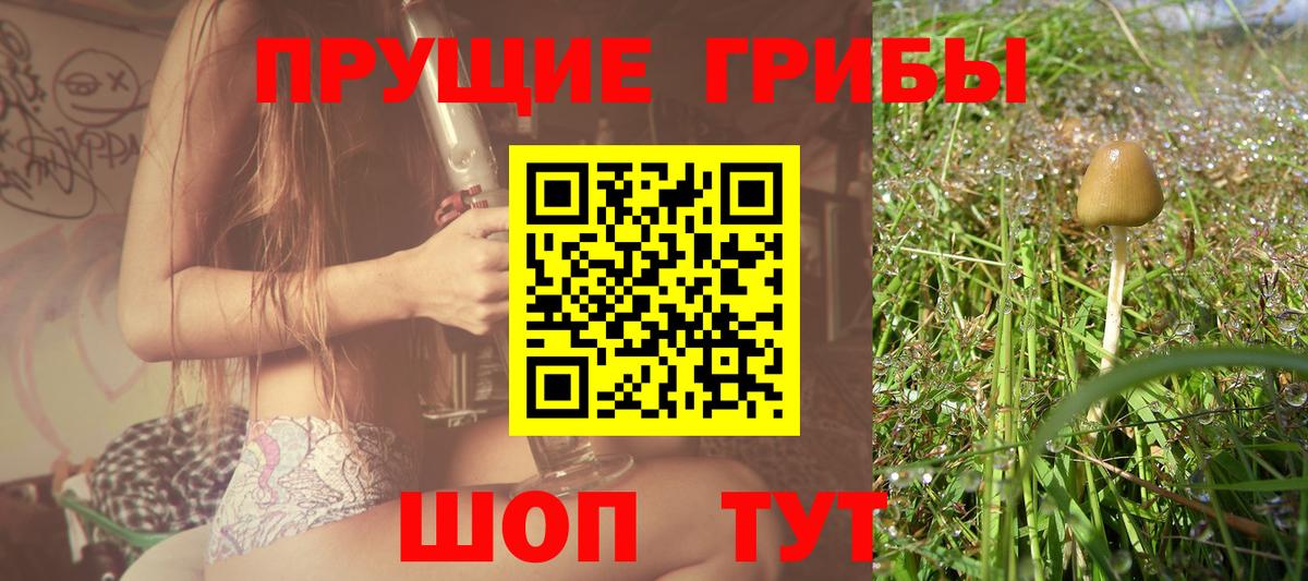 Псилоцибиновые грибы GOLDEN TEACHER  Галлюциногенные грибы прущие грибы  Вход с VPN  Касимов 